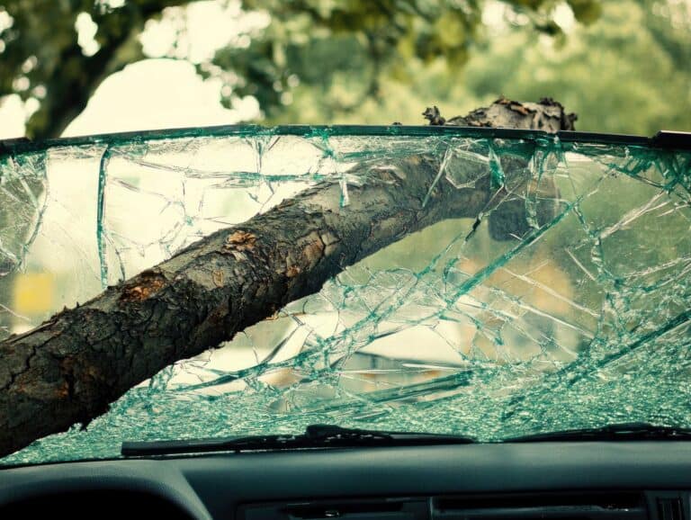 Same Day Windshield hurricane damaged windshield