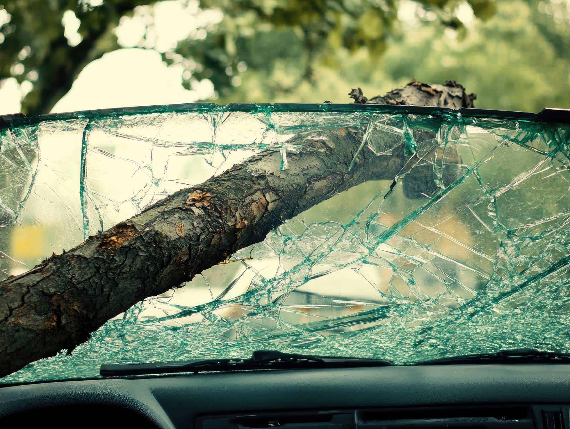 Same Day Windshield hurricane damaged windshield